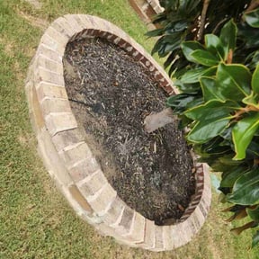 Flower Bed Weeding by Jasun Creations reviewed on September 11, 2024