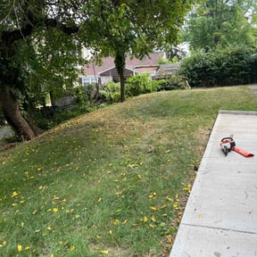 Cleanups by Lawns 4 Less reviewed on November 18, 2024