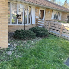 Bush Trimming by Affordable Lawncare Co. reviewed on May 24, 2025