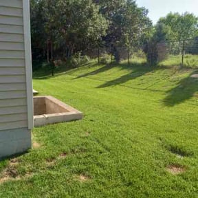 Bush Trimming by Home Grown Garden and Lawn reviewed on July 14, 2022