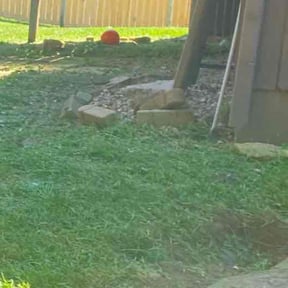 Flower Bed Weeding by JA Performance Outdoor Services reviewed on April 14, 2025