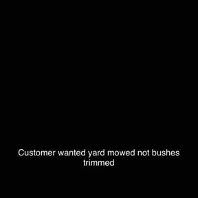 Bush Trimming by Craft's Lawn Care reviewed on April 30, 2022