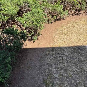 Leaf Removal by Lawn Patrol Landscaping LLC reviewed on November 9, 2017