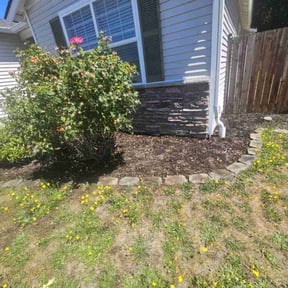 Weeding by Paradise Landcare reviewed on August 5, 2024