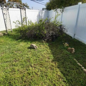 Bush Trimming by Hensley Property Management reviewed on April 13, 2022
