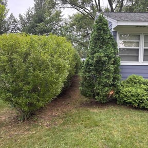 Bush Trimming by Text 2 Cut Lawn Care LLC reviewed on May 11, 2025