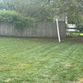 Weeding by Ralph's Lawncare reviewed on July 17, 2025