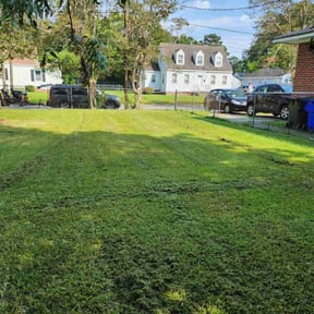 Cleanups by Veteran Roots reviewed on January 10, 2025