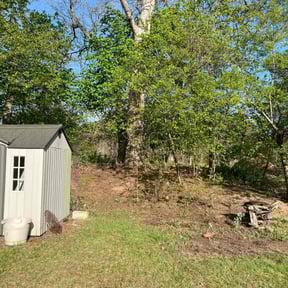 Leaf Removal by Quality landscaping reviewed on July 27, 2021