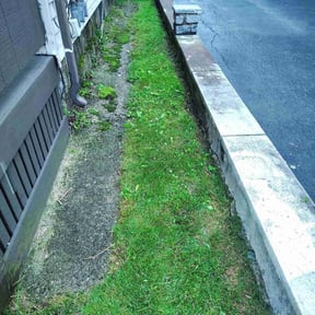Cleanups by AA Property Services Inc reviewed on November 12, 2021