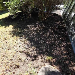 Leaf Removal by T&A lawn care reviewed on December 11, 2024