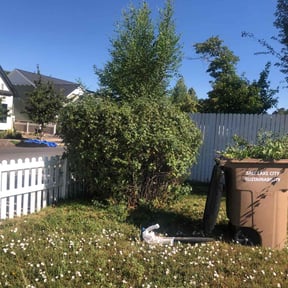 Bush Trimming by WLC Lawn Care reviewed on April 30, 2025