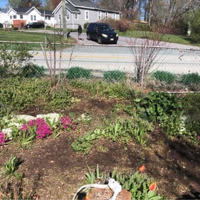 Flower Bed Weeding by Top Turf L.L.C reviewed on April 20, 2022