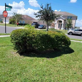 Bush Trimming by Texas Fencing & Landscaping reviewed on November 17, 2021