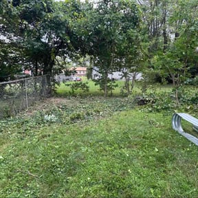 Cleanups by So 1000 Lawn and Landscape reviewed on December 4, 2023