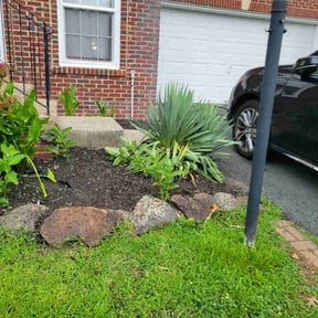 Flower Bed Weeding by BMP reviewed on June 23, 2022