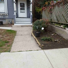 Bush Trimming by B.mendoza lanscaping reviewed on June 21, 2025