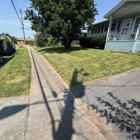 Leaf Removal by Js Lawn Care reviewed on August 22, 2024