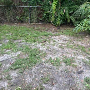 Leaf Removal by Big Chief Lawn Care reviewed on June 25, 2022