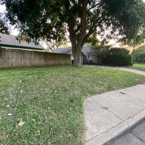 Cleanups by 4C's Lawn Care LLC reviewed on June 3, 2025