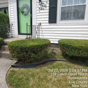 Bush Trimming by Torres Lawn Care reviewed on October 20, 2021