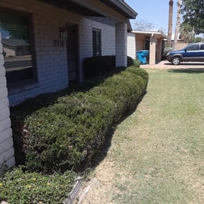 Bush Trimming by E&amp;E Landscape Services reviewed on November 15, 2024