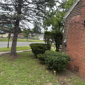 Bush Trimming by Thom's mowing and lawn care reviewed on July 10, 2022
