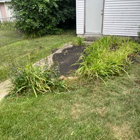 Cleanups by Robert'S reviewed on July 20, 2025