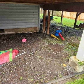Cleanups by Eagle Lawn Care reviewed on June 28, 2020
