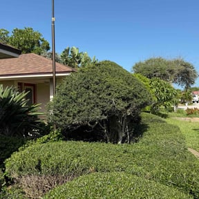 Bush Trimming by Lawn Life Mowing LLC reviewed on December 12, 2024