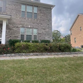 Bush Trimming by TH lawncare reviewed on June 3, 2022