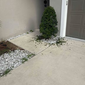 Bush Trimming by Aura lawn pros reviewed on October 5, 2022