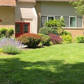 Bush Trimming by RTH Lawn Service & Landscaping LLC reviewed on June 20, 2022