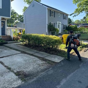 Bush Trimming by Re Image lawn care reviewed on October 27, 2021