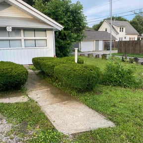 Bush Trimming by Camo's Lawn Care reviewed on June 4, 2025