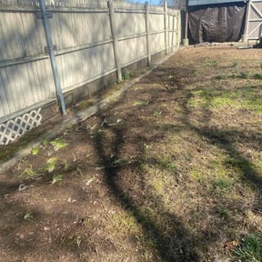 Leaf Removal by Sustain Tec, LLC reviewed on July 13, 2020