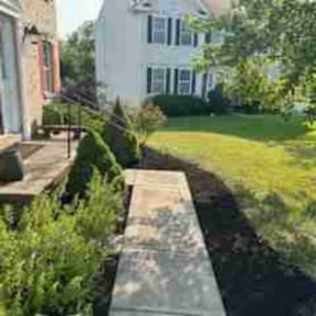 Mulching by Vertical Lawn Care reviewed on June 23, 2022