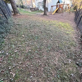 Leaf Removal by Paparo Lawn Care reviewed on October 5, 2022