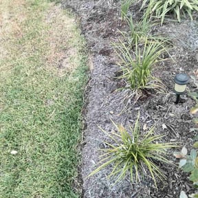 Flower Bed Weeding by BSM & Co. Landscaping reviewed on July 21, 2020