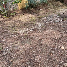 Leaf Removal by Corporate cuts lawn care reviewed on September 24, 2021