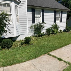 Bush Trimming by Perfect image lawn service of Georgia reviewed on March 14, 2025
