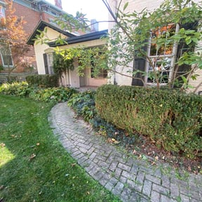 Bush Trimming by LOCAL Landscaping & Lawn Maintenance reviewed on November 17, 2022