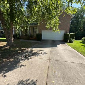 Bush Trimming by Ridgewood Landscape Management llc. reviewed on April 29, 2025