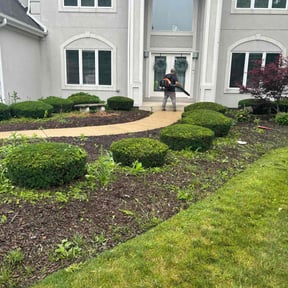 Bush Trimming by Snell mowing reviewed on July 31, 2022