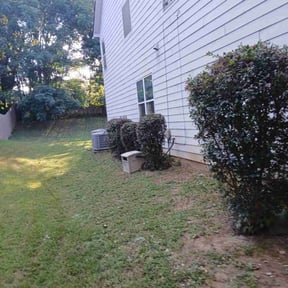 Bush Trimming by Murphys Lawn Care LLC reviewed on October 18, 2022