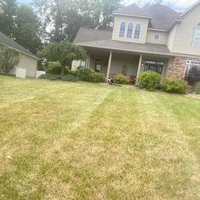 Bush Trimming by JohnRobert Lawn&Garden reviewed on July 16, 2022