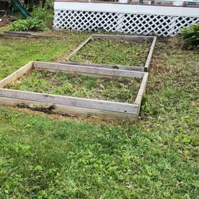 Leaf Removal by Hopkins Lawn Care Service reviewed on August 6, 2022