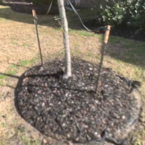 Flower Bed Weeding by Sing Construction reviewed on April 26, 2022