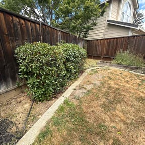 Cleanups by McGregor's landscaping reviewed on June 14, 2022