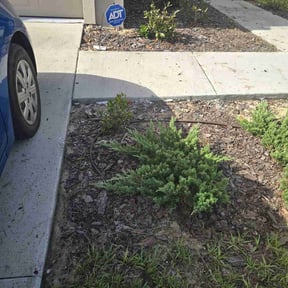 Flower Bed Weeding by Fiechtner Landscape Services reviewed on June 21, 2022